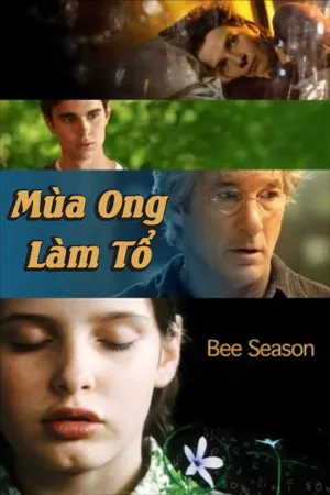 Mùa ong làm tổ Mùa ong làm tổ