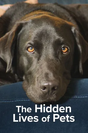 The secret life of our pets The secret life of our pets