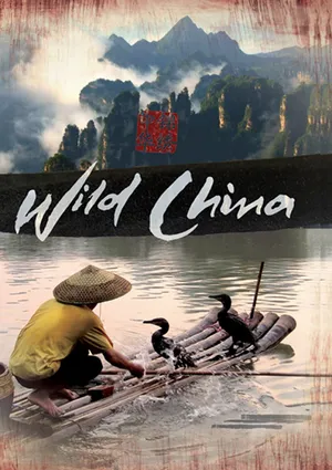 Thiên nhiên hoang dã trung quốc Thiên nhiên hoang dã trung quốc